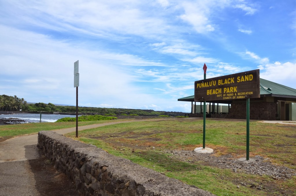 Punalu'u Black Sand Beach Park