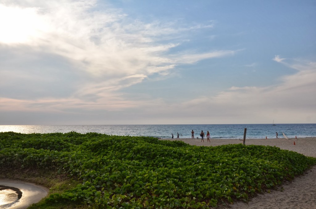 visiting beaches in kona