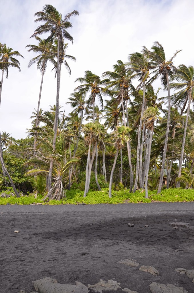 black sand beach